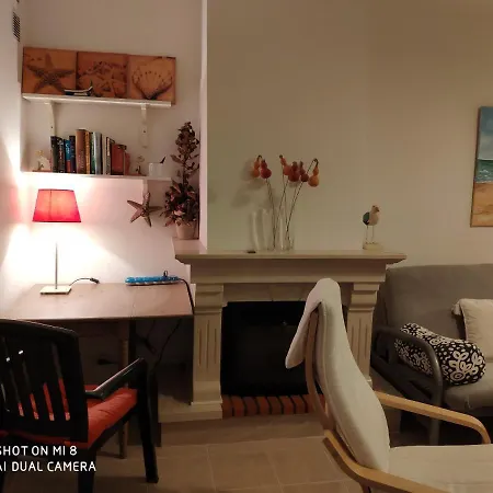 And Surf * Пениши