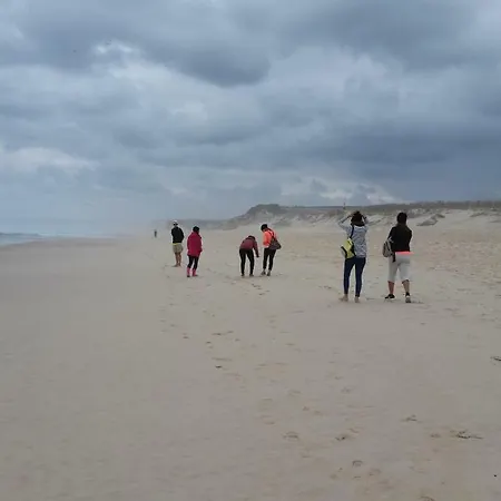 And Surf Апартаменты